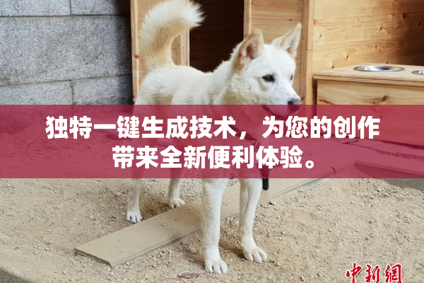 独特一键生成技术，为您的创作带来全新便利体验。