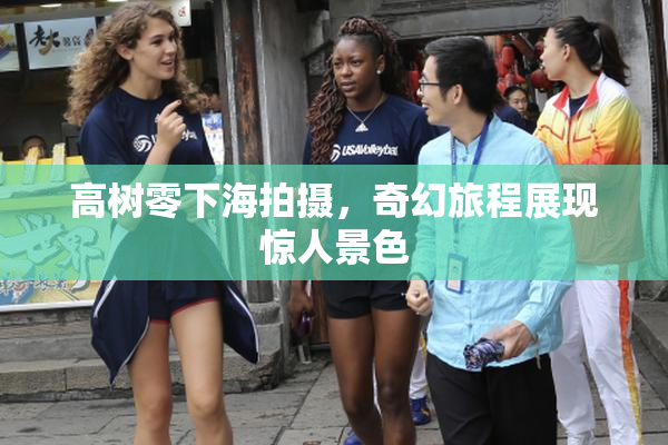 高树零下海拍摄，奇幻旅程展现惊人景色