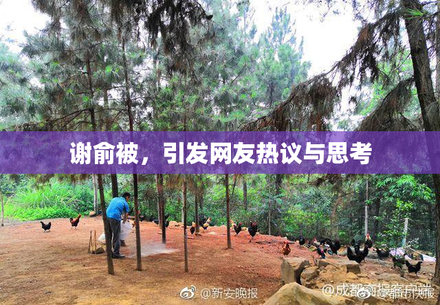 谢俞被，引发网友热议与思考