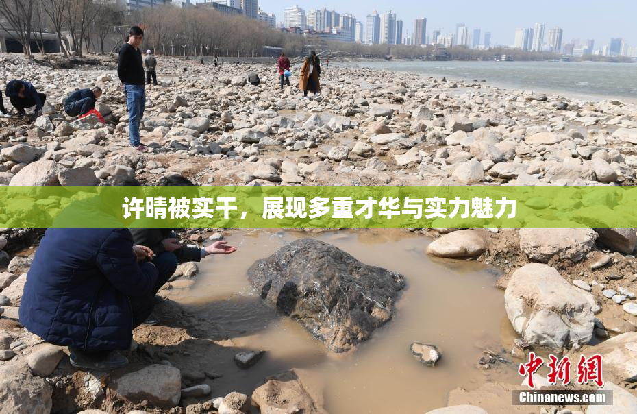 许晴被实干，展现多重才华与实力魅力