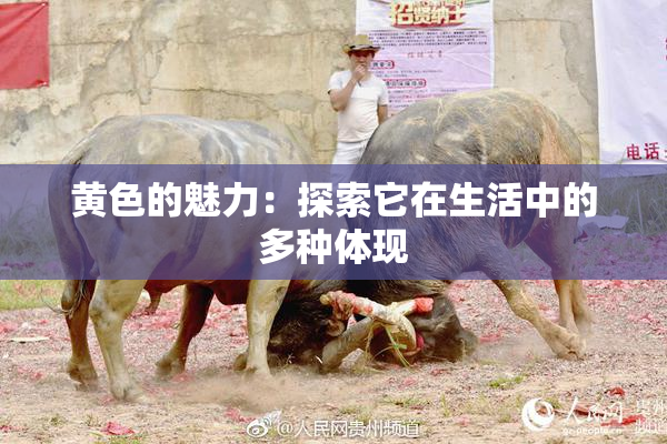 黄色的魅力：探索它在生活中的多种体现