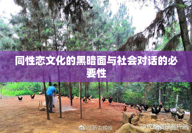 同性恋文化的黑暗面与社会对话的必要性