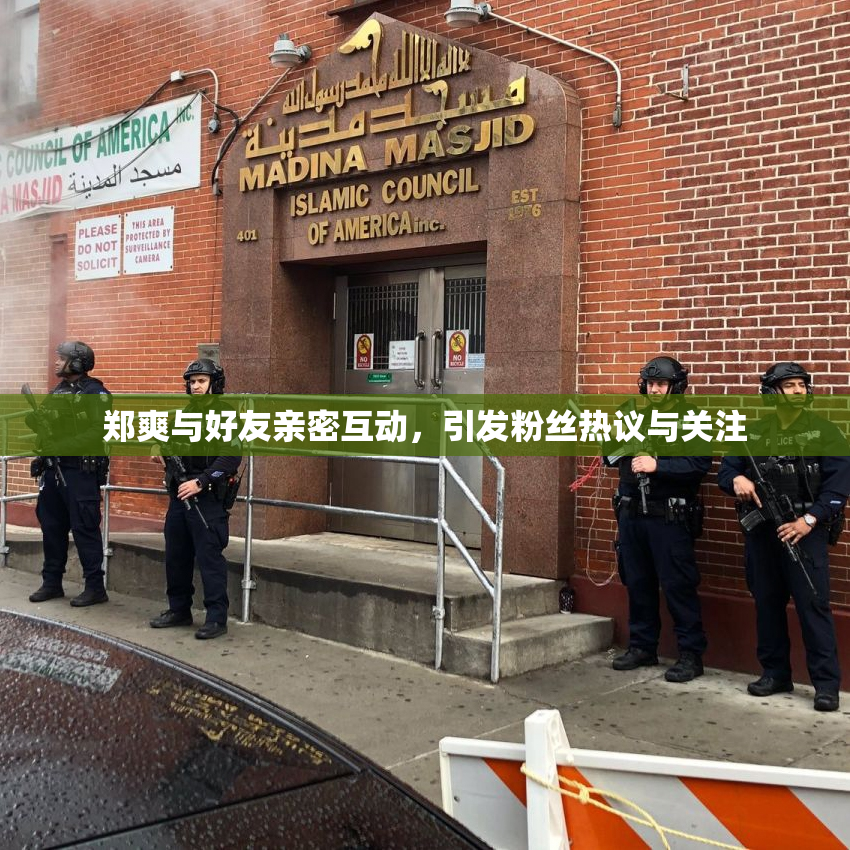 郑爽与好友亲密互动，引发粉丝热议与关注