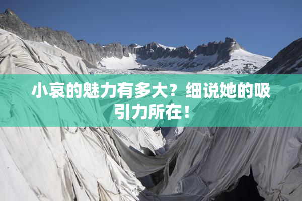小哀的魅力有多大？细说她的吸引力所在！