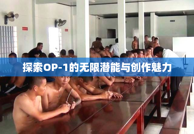 探索OP-1的无限潜能与创作魅力