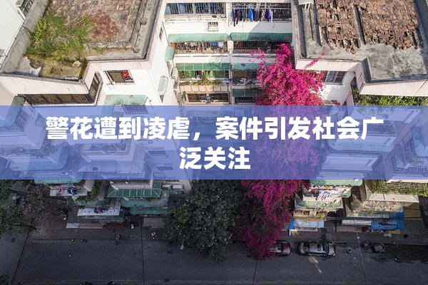 警花遭到凌虐，案件引发社会广泛关注
