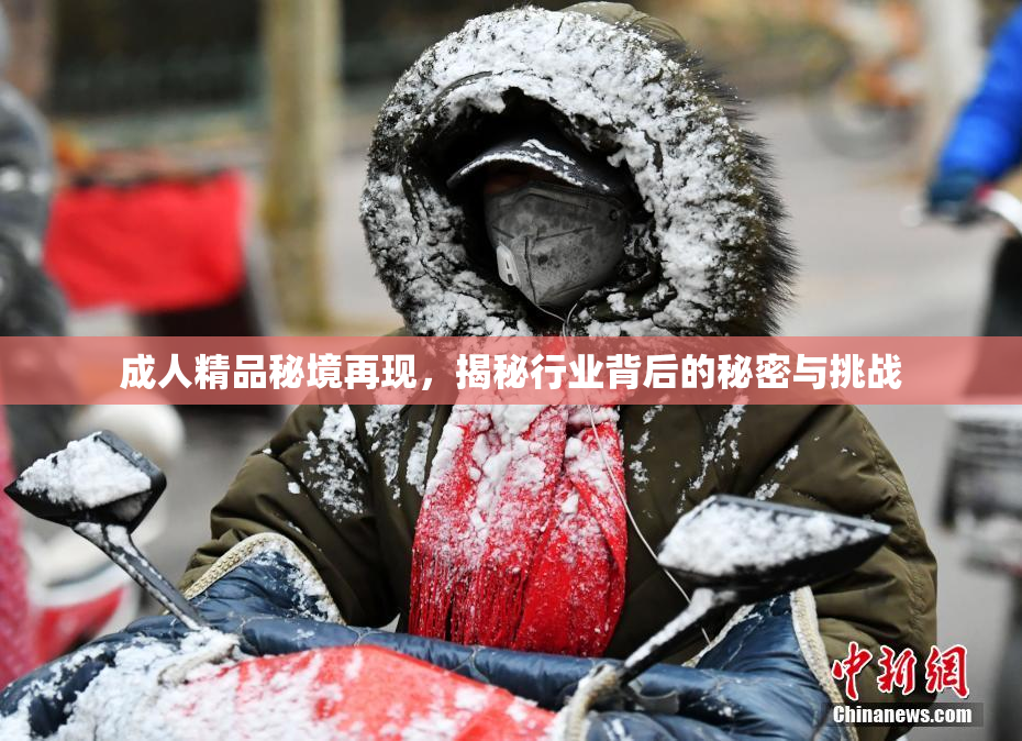 成人精品秘境再现，揭秘行业背后的秘密与挑战