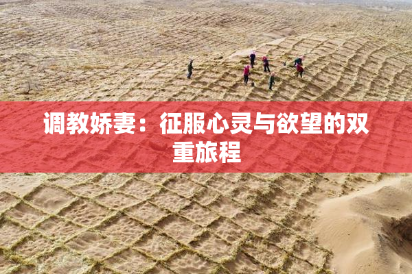 调教娇妻：征服心灵与欲望的双重旅程