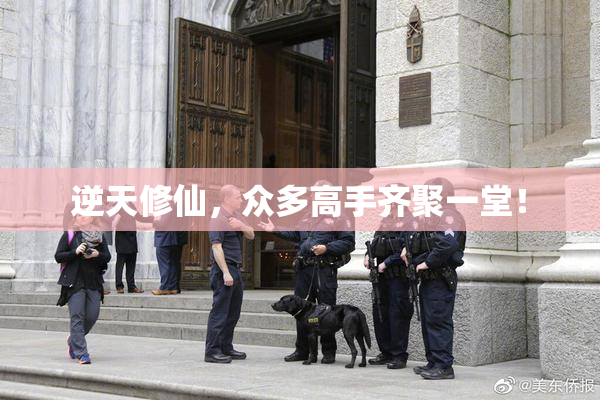 逆天修仙，众多高手齐聚一堂！