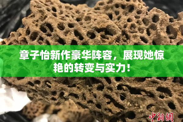 章子怡新作豪华阵容，展现她惊艳的转变与实力！