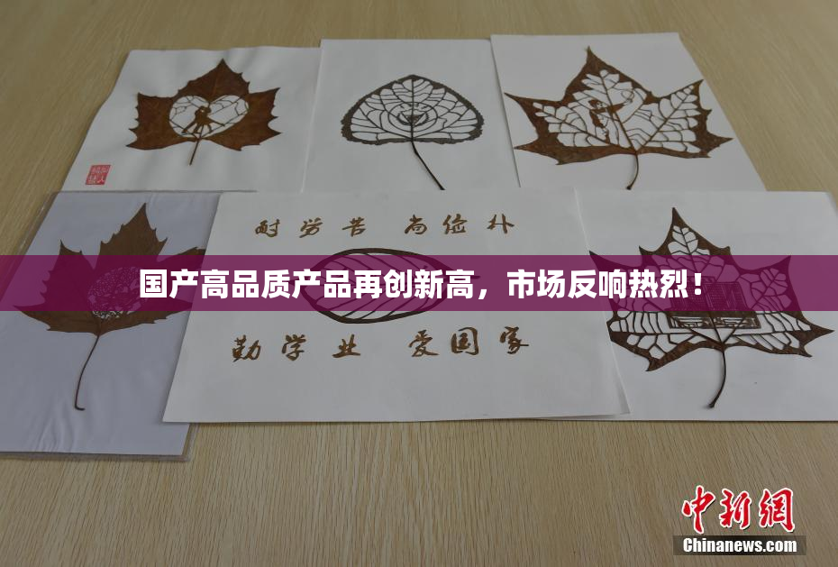 国产高品质产品再创新高，市场反响热烈！