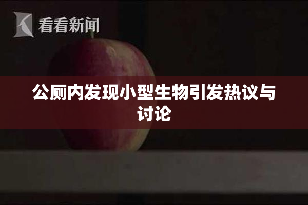 公厕内发现小型生物引发热议与讨论