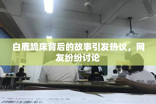 白鹿跪床背后的故事引发热议，网友纷纷讨论