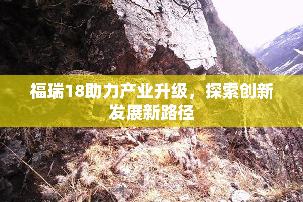 福瑞18助力产业升级，探索创新发展新路径