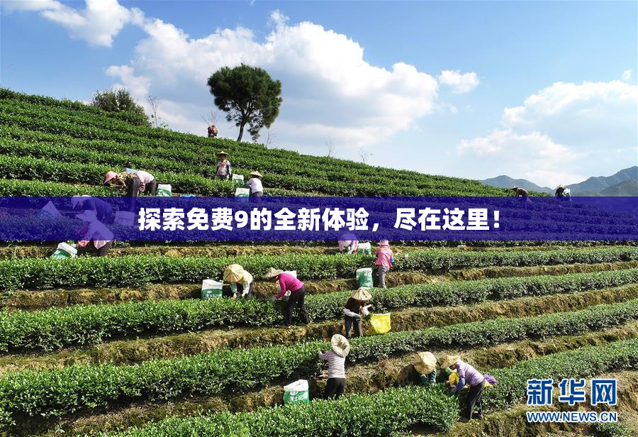探索免费9的全新体验，尽在这里！