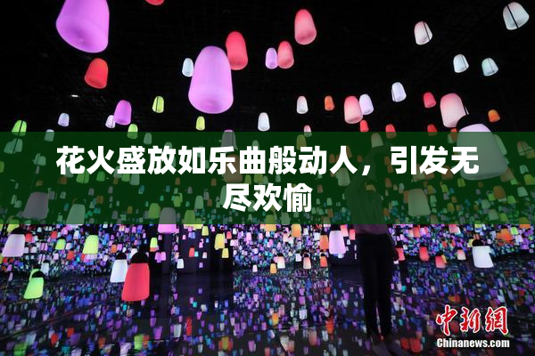 花火盛放如乐曲般动人，引发无尽欢愉