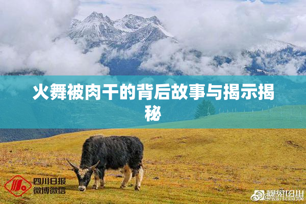 火舞被肉干的背后故事与揭示揭秘