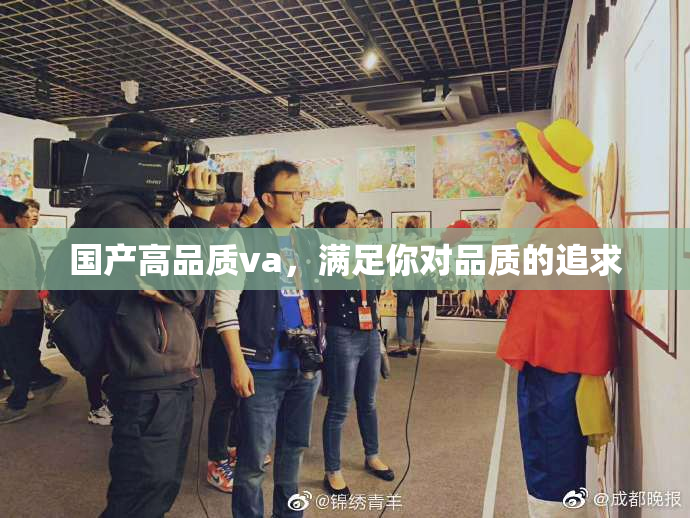国产高品质va，满足你对品质的追求