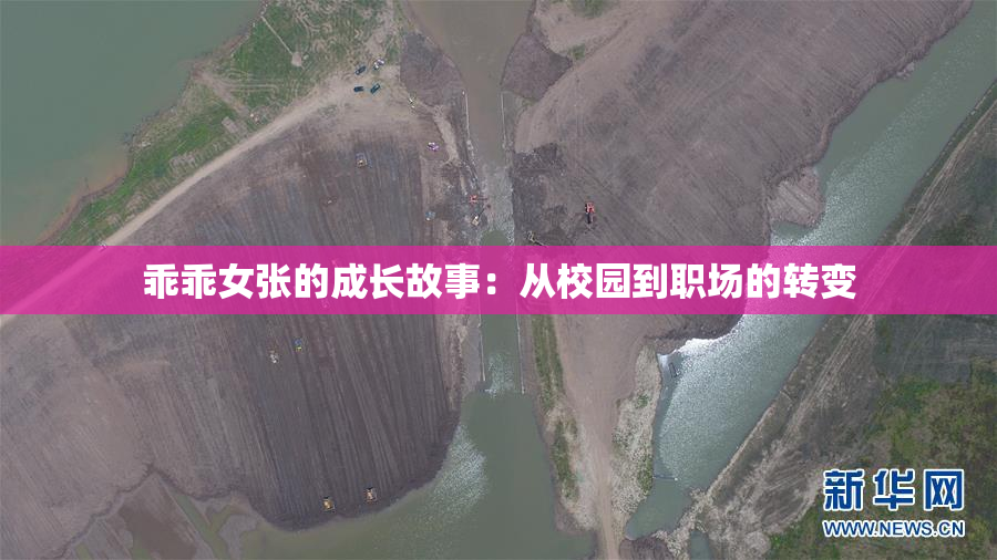 乖乖女张的成长故事：从校园到职场的转变