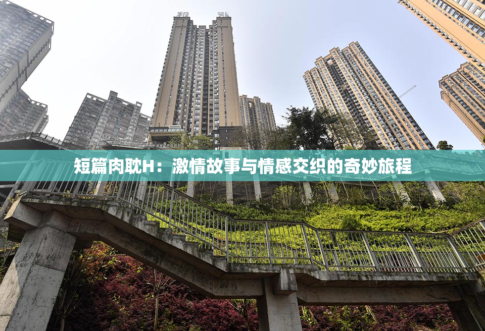 短篇肉耽H：激情故事与情感交织的奇妙旅程