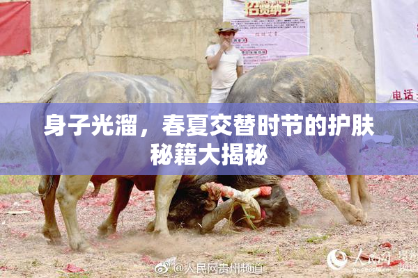 身子光溜，春夏交替时节的护肤秘籍大揭秘