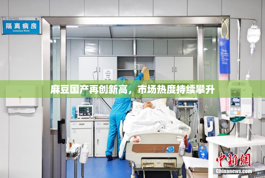 麻豆国产再创新高，市场热度持续攀升