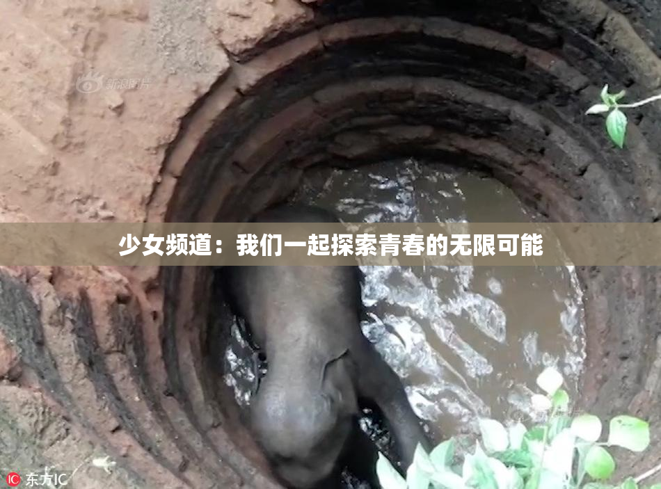 少女频道：我们一起探索青春的无限可能