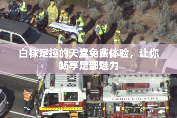 白袜足控的天堂免费体验，让你畅享足部魅力