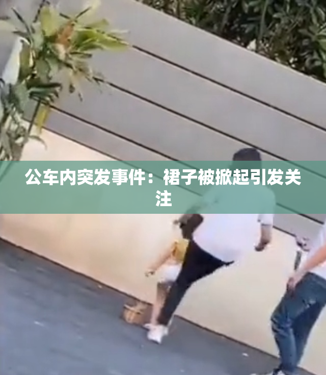 公车内突发事件：裙子被掀起引发关注