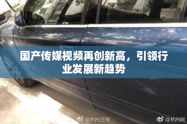 国产传媒视频再创新高，引领行业发展新趋势
