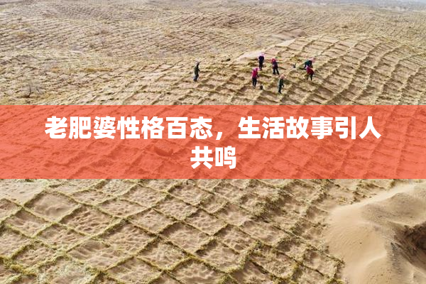 老肥婆性格百态，生活故事引人共鸣