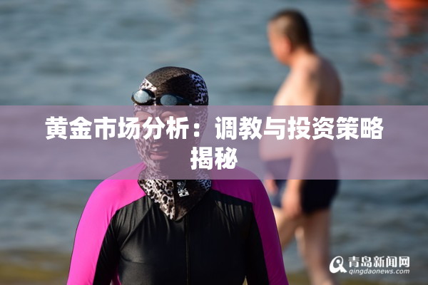 黄金市场分析：调教与投资策略揭秘