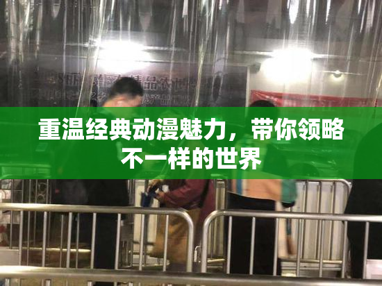 重温经典动漫魅力，带你领略不一样的世界