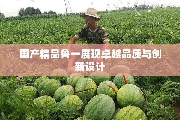 国产精品鲁一展现卓越品质与创新设计