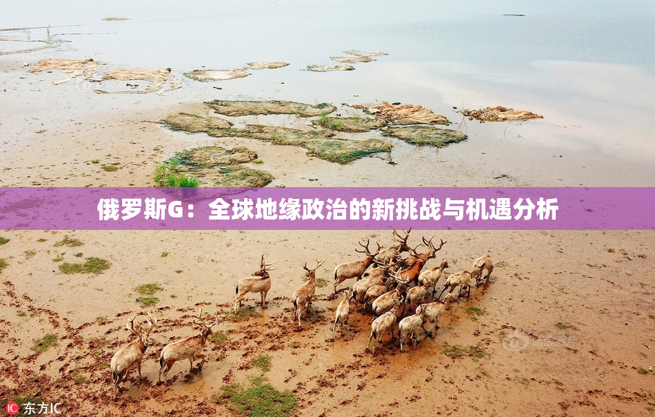 俄罗斯G：全球地缘政治的新挑战与机遇分析