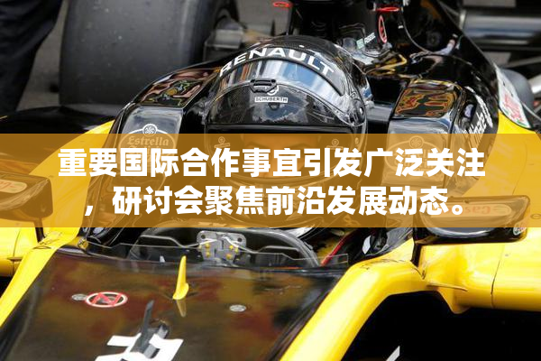 重要国际合作事宜引发广泛关注，研讨会聚焦前沿发展动态。