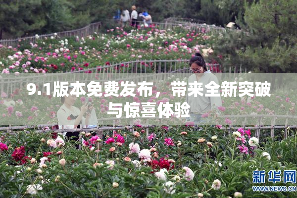 9.1版本免费发布，带来全新突破与惊喜体验