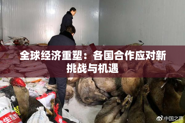 全球经济重塑：各国合作应对新挑战与机遇