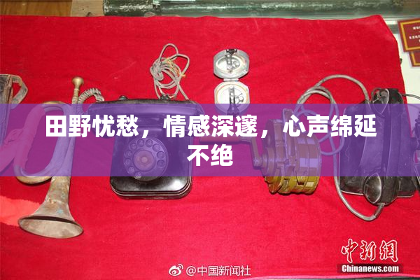 田野忧愁，情感深邃，心声绵延不绝