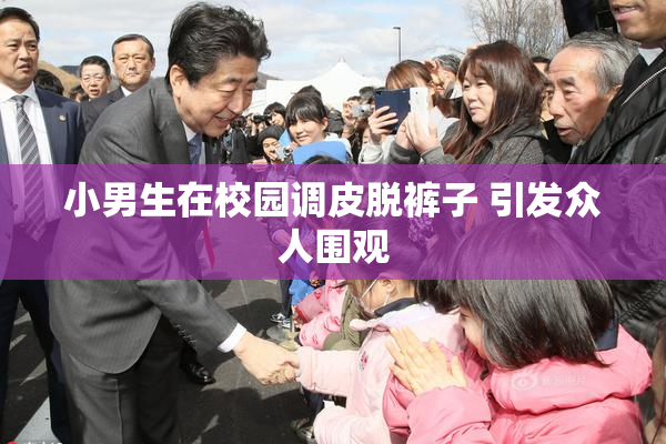 小男生在校园调皮脱裤子 引发众人围观