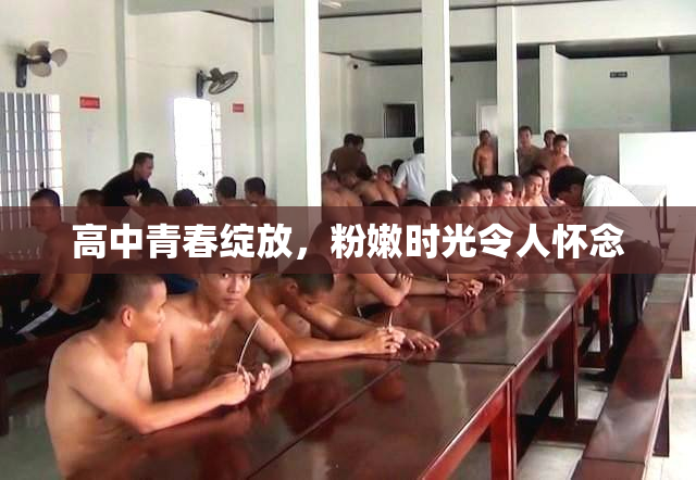 高中青春绽放，粉嫩时光令人怀念