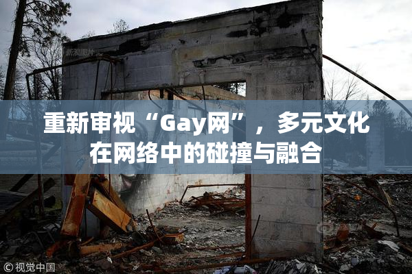重新审视“Gay网”，多元文化在网络中的碰撞与融合