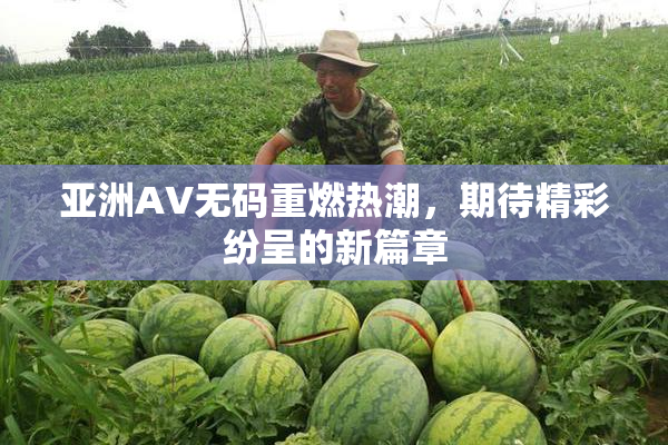亚洲AV无码重燃热潮，期待精彩纷呈的新篇章