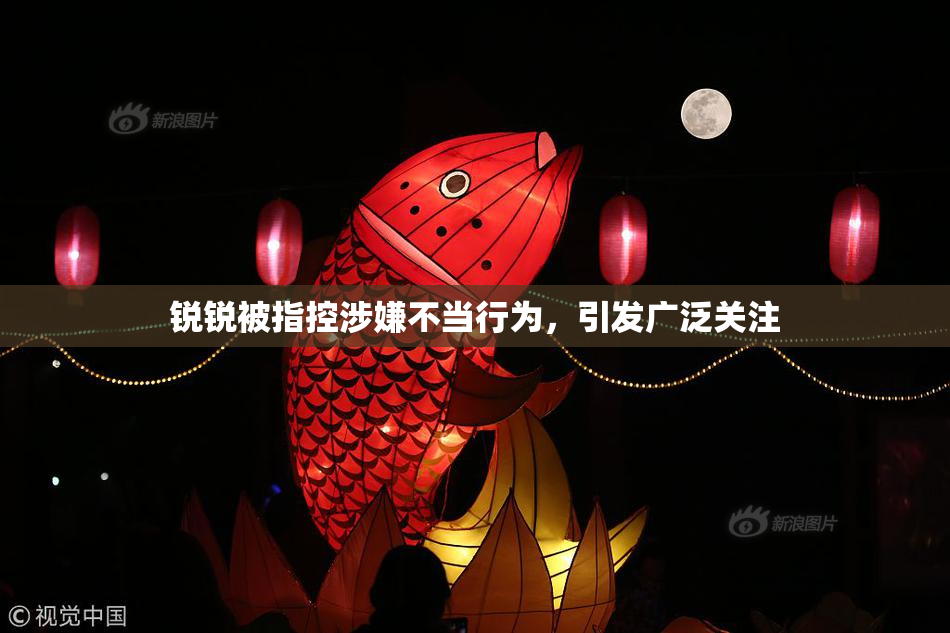 锐锐被指控涉嫌不当行为，引发广泛关注
