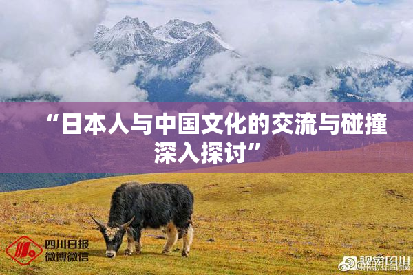 “日本人与中国文化的交流与碰撞深入探讨”