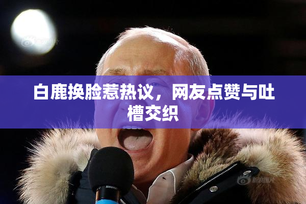白鹿换脸惹热议，网友点赞与吐槽交织
