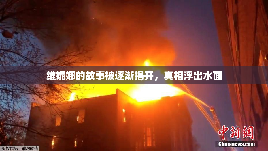 维妮娜的故事被逐渐揭开，真相浮出水面