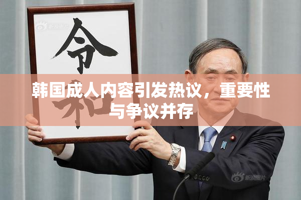 韩国成人内容引发热议，重要性与争议并存