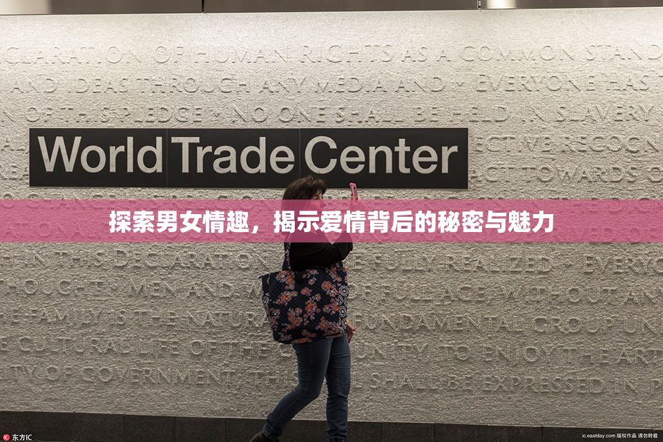 探索男女情趣，揭示爱情背后的秘密与魅力