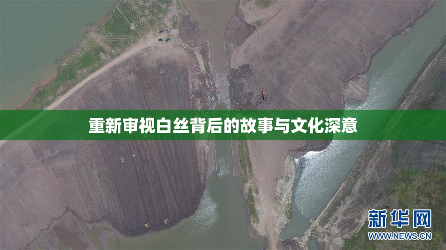 重新审视白丝背后的故事与文化深意